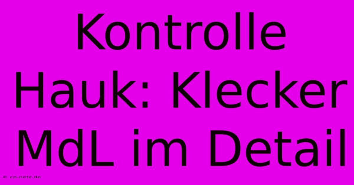 Kontrolle Hauk: Klecker MdL Im Detail