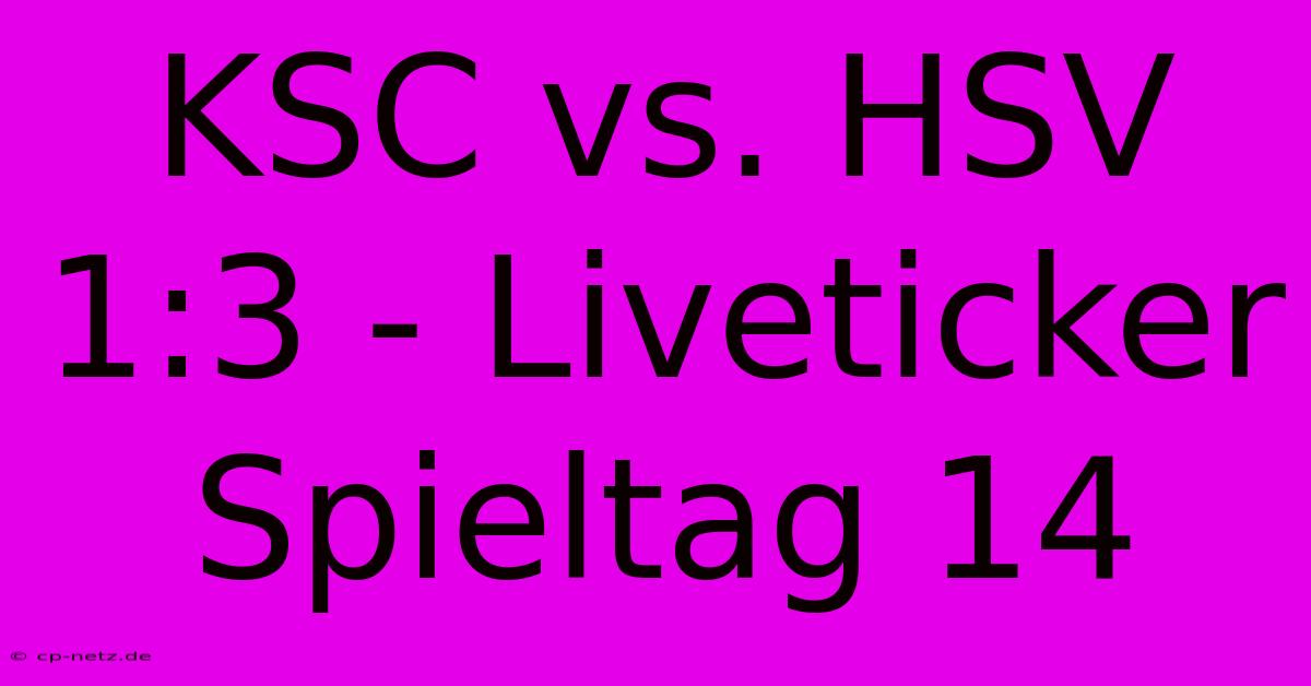 KSC Vs. HSV 1:3 - Liveticker Spieltag 14