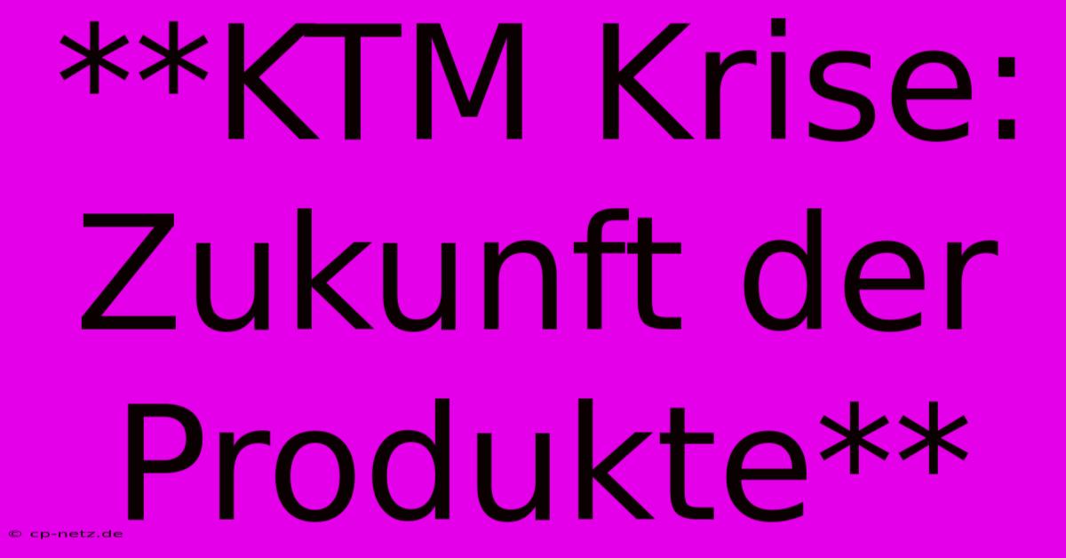 **KTM Krise: Zukunft Der Produkte**