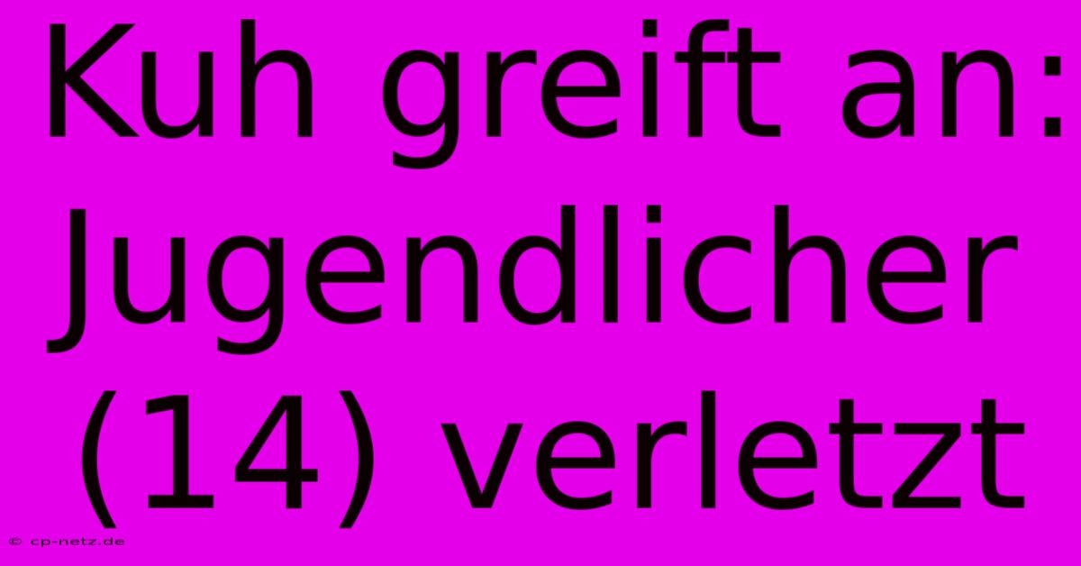 Kuh Greift An: Jugendlicher (14) Verletzt