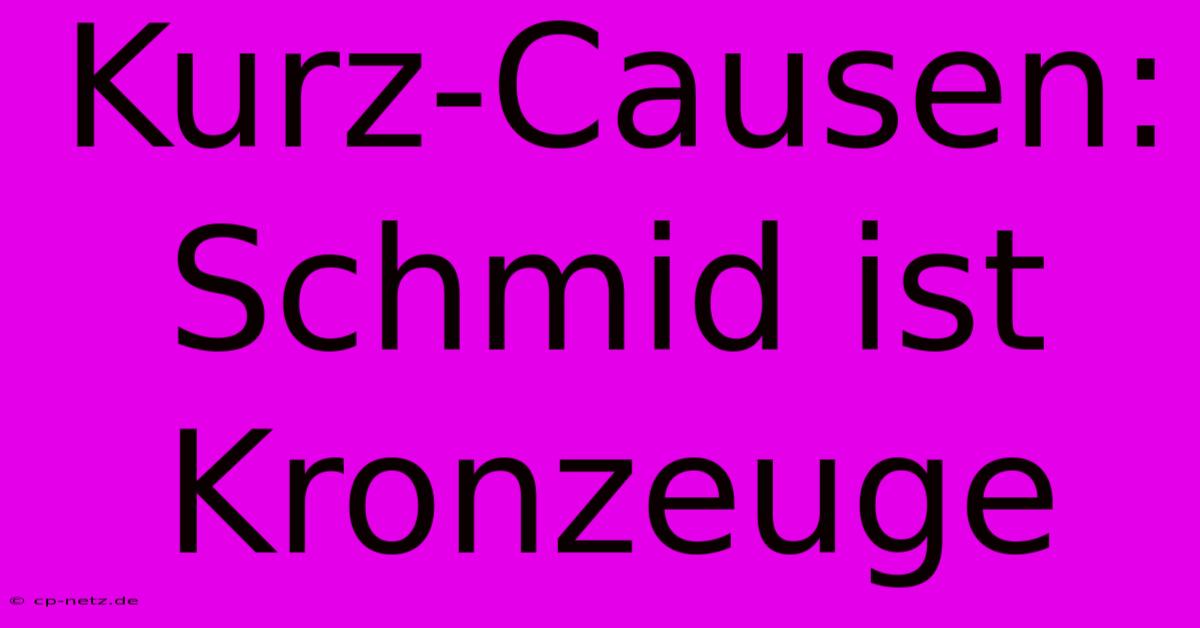 Kurz-Causen: Schmid Ist Kronzeuge