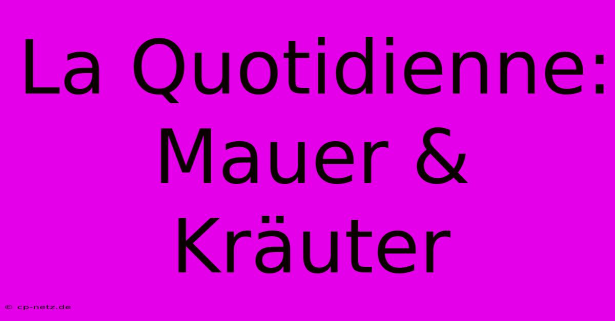 La Quotidienne: Mauer & Kräuter