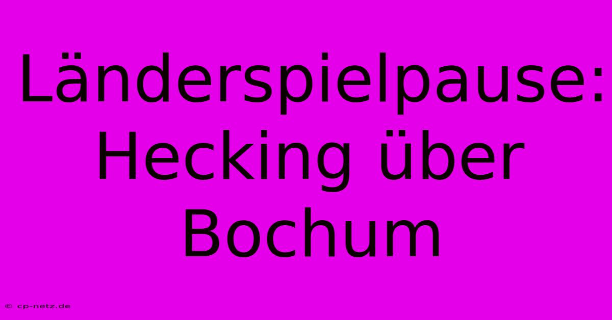 Länderspielpause: Hecking Über Bochum