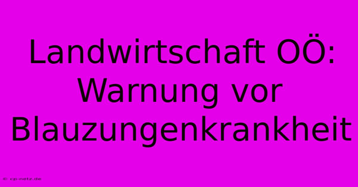 Landwirtschaft OÖ: Warnung Vor Blauzungenkrankheit