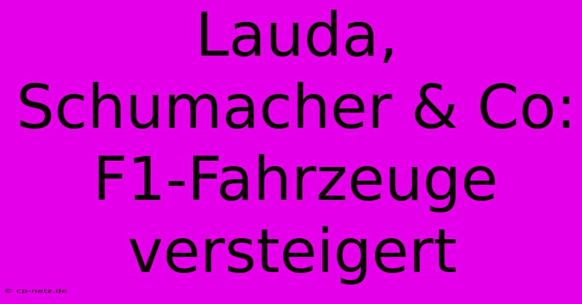 Lauda, Schumacher & Co: F1-Fahrzeuge Versteigert