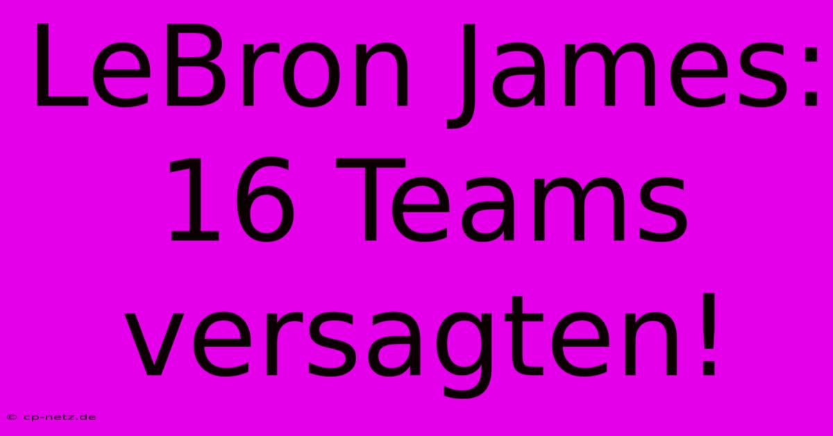 LeBron James: 16 Teams Versagten!