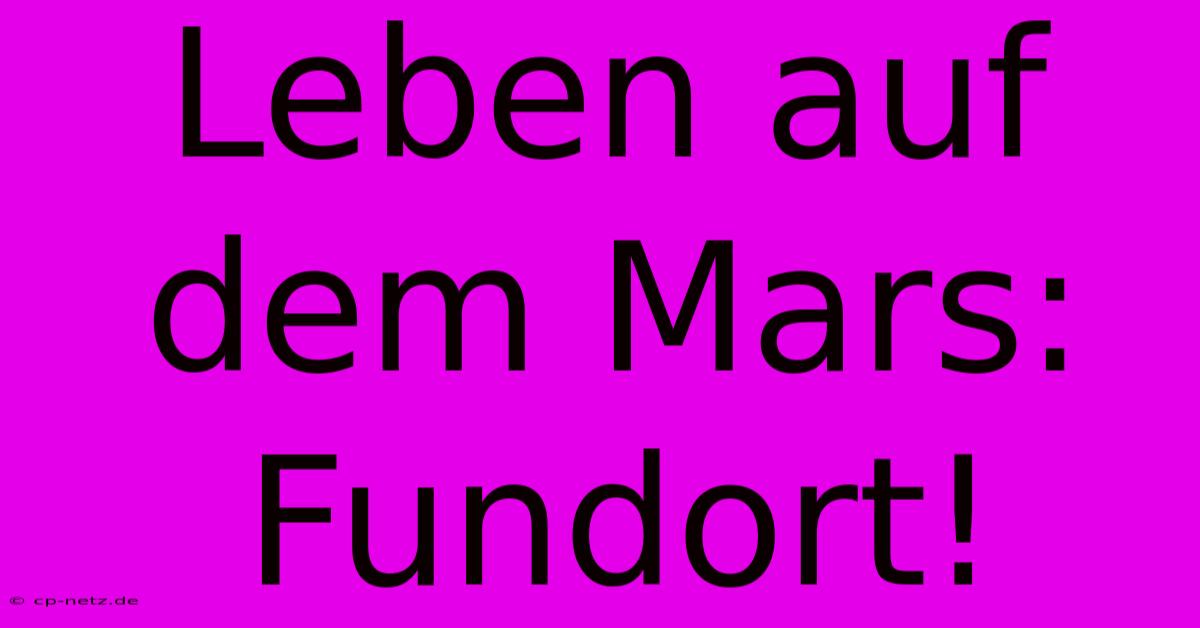 Leben Auf Dem Mars: Fundort!