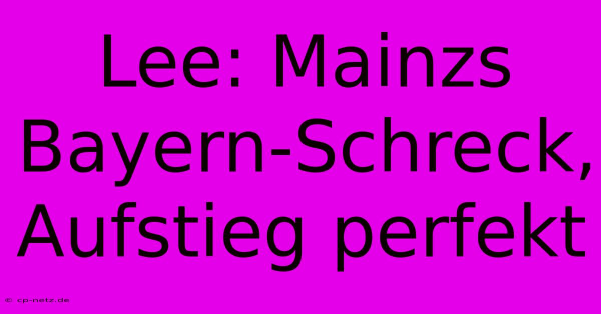 Lee: Mainzs Bayern-Schreck, Aufstieg Perfekt