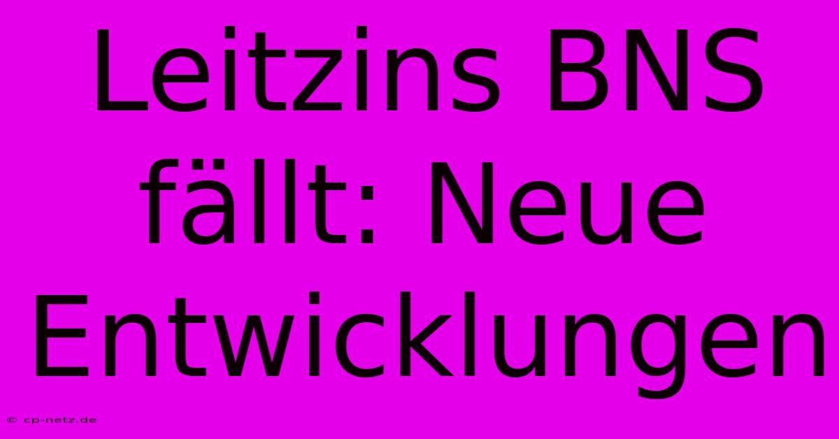 Leitzins BNS Fällt: Neue Entwicklungen