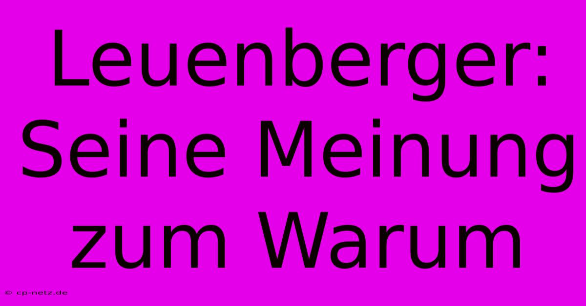 Leuenberger:  Seine Meinung Zum Warum