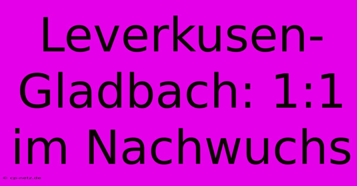 Leverkusen-Gladbach: 1:1 Im Nachwuchs