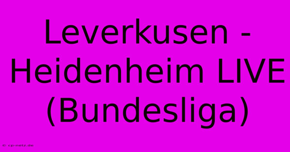 Leverkusen - Heidenheim LIVE (Bundesliga)