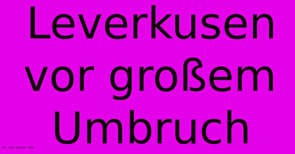 Leverkusen Vor Großem Umbruch