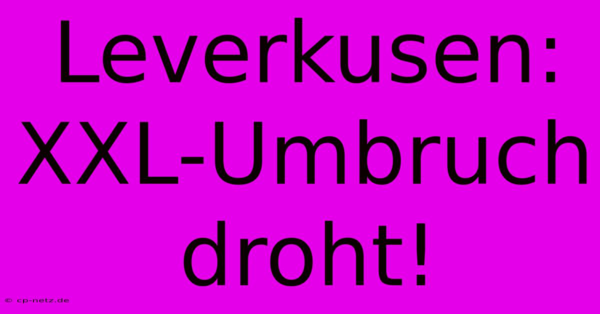 Leverkusen: XXL-Umbruch Droht!