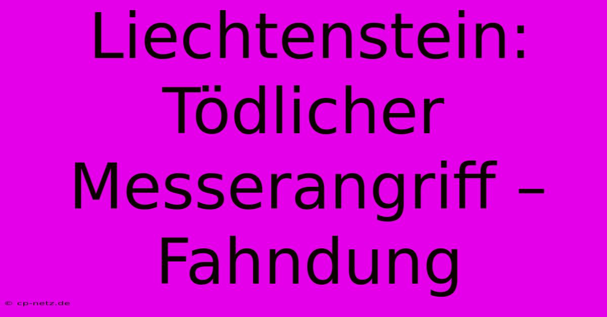 Liechtenstein: Tödlicher Messerangriff – Fahndung