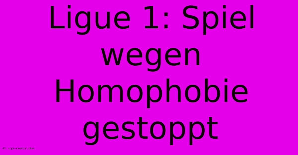 Ligue 1: Spiel Wegen Homophobie Gestoppt