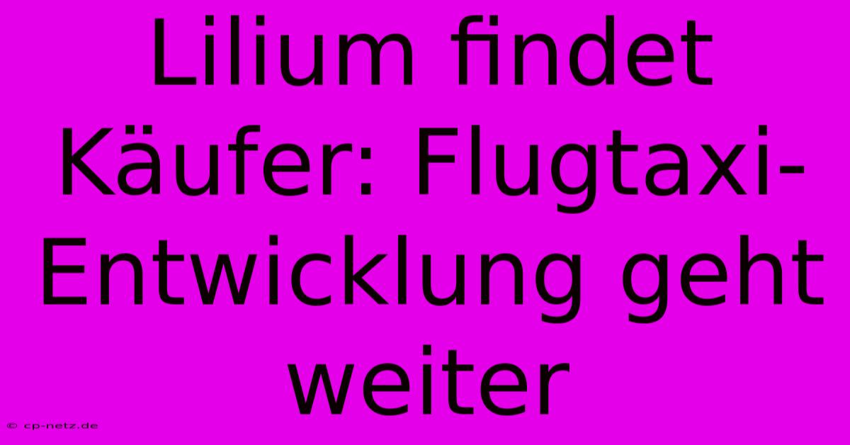 Lilium Findet Käufer: Flugtaxi-Entwicklung Geht Weiter