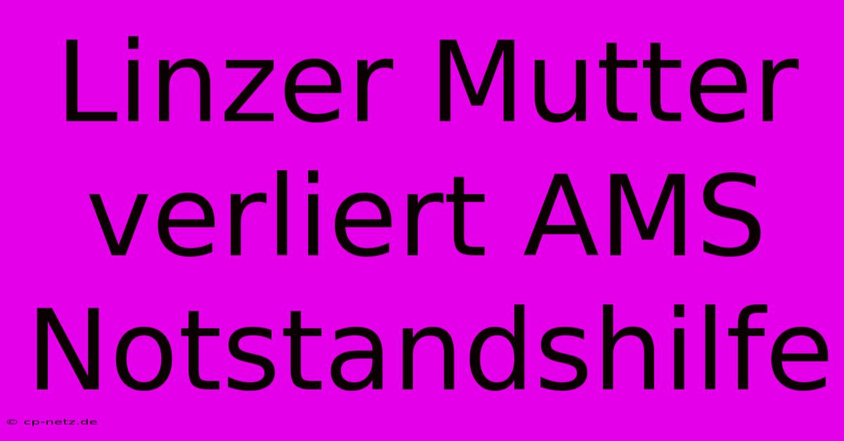 Linzer Mutter Verliert AMS Notstandshilfe