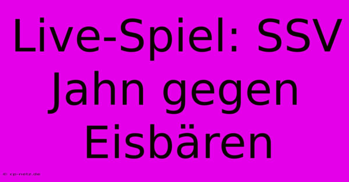 Live-Spiel: SSV Jahn Gegen Eisbären