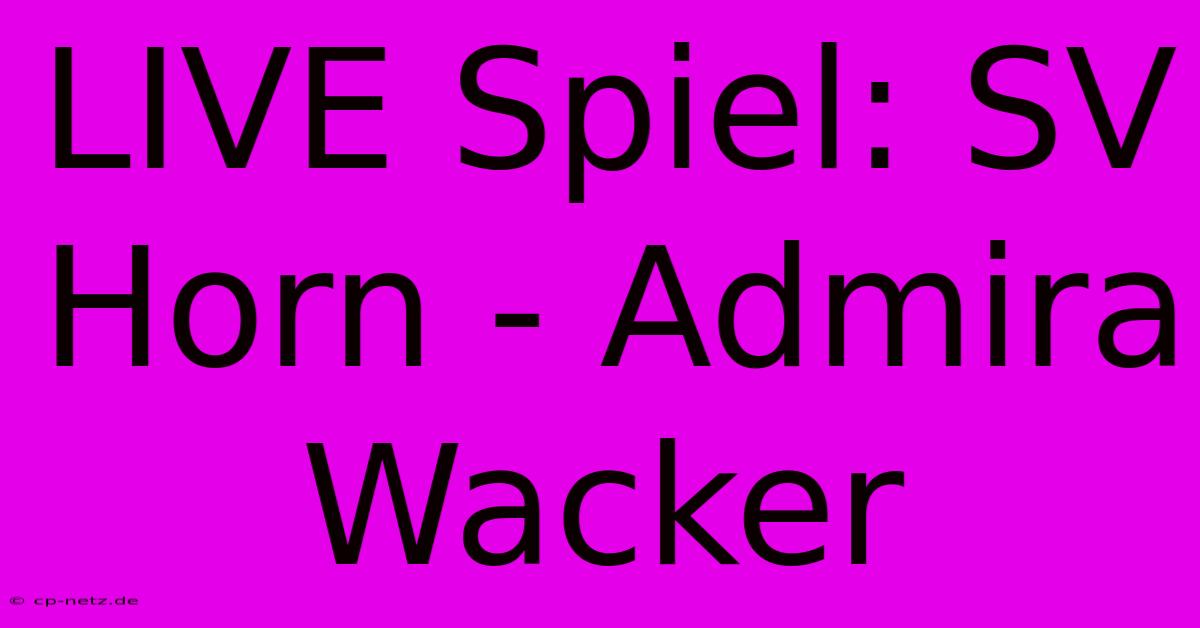 LIVE Spiel: SV Horn - Admira Wacker