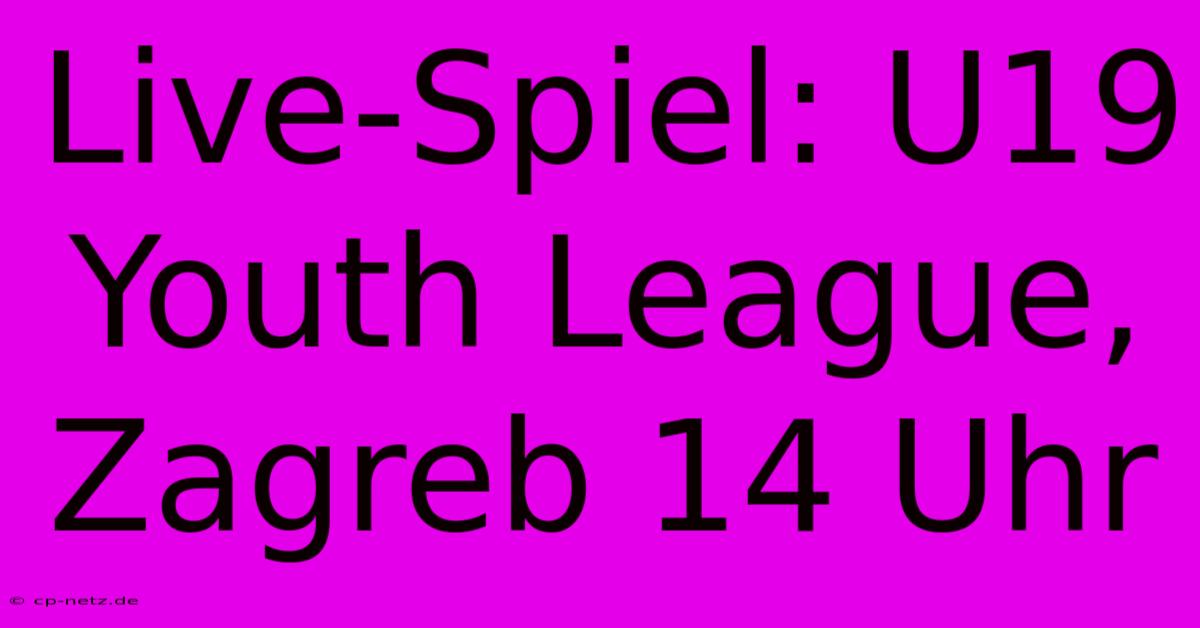 Live-Spiel: U19 Youth League, Zagreb 14 Uhr