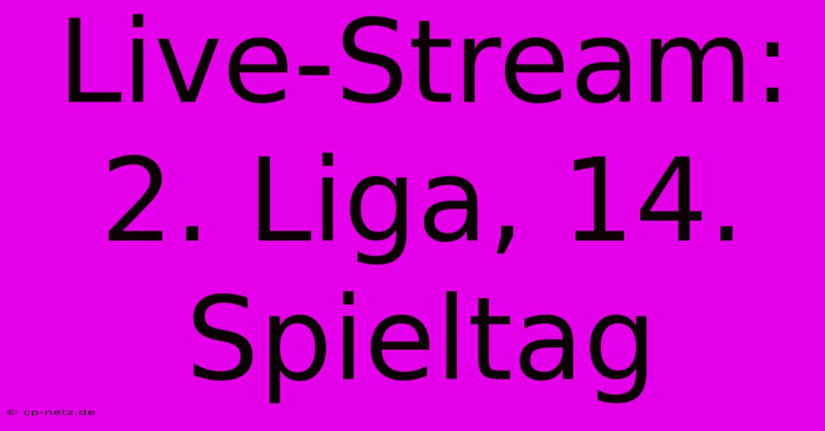 Live-Stream: 2. Liga, 14. Spieltag