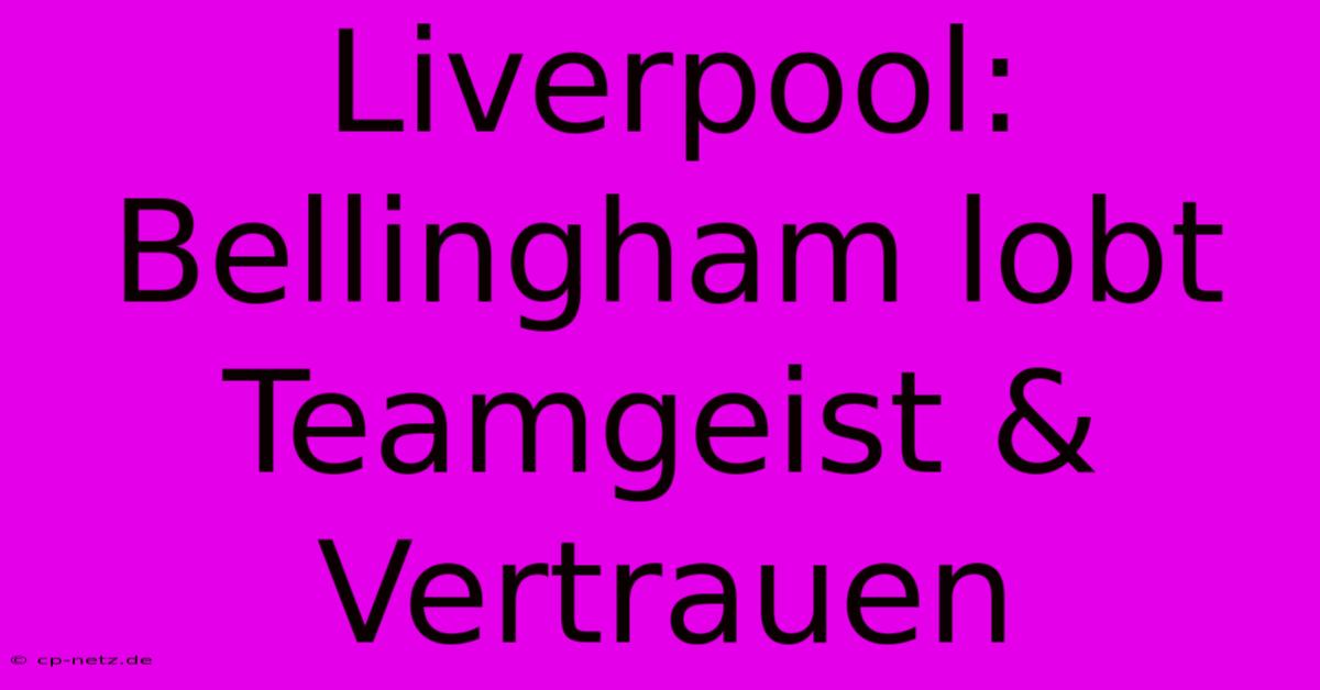 Liverpool: Bellingham Lobt Teamgeist & Vertrauen