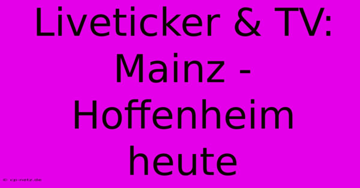 Liveticker & TV: Mainz - Hoffenheim Heute