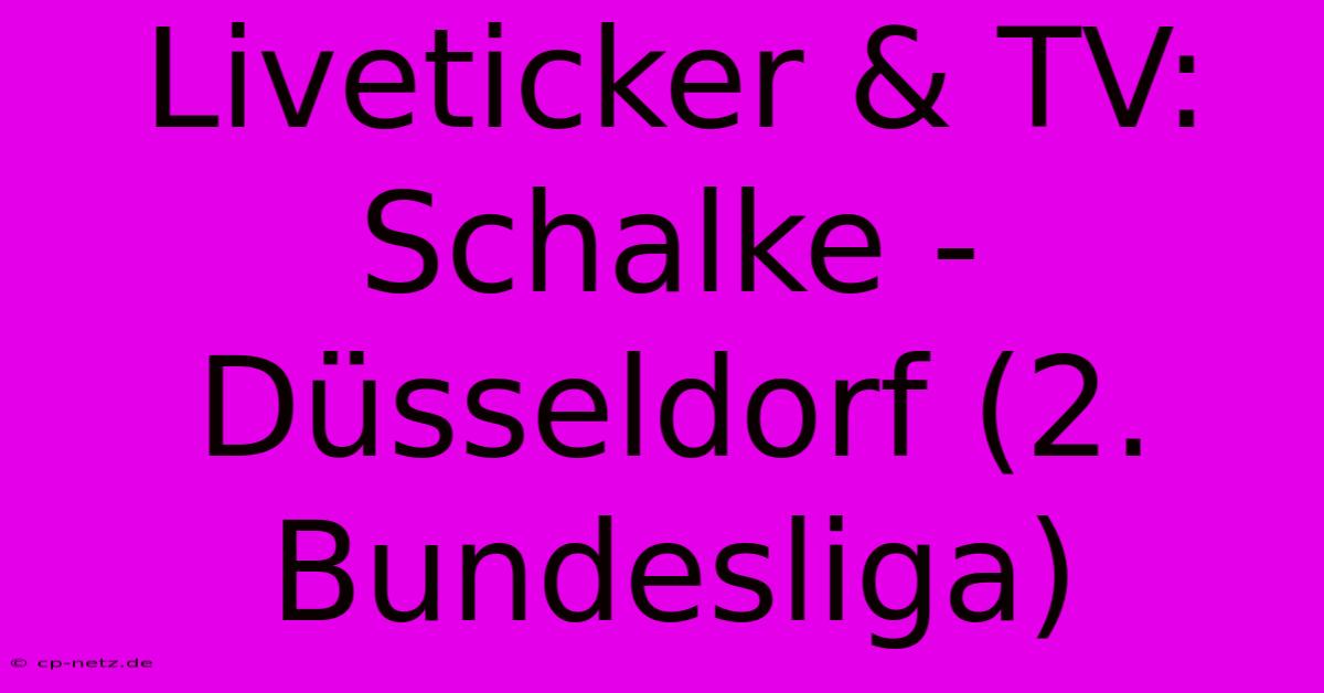 Liveticker & TV: Schalke - Düsseldorf (2. Bundesliga)