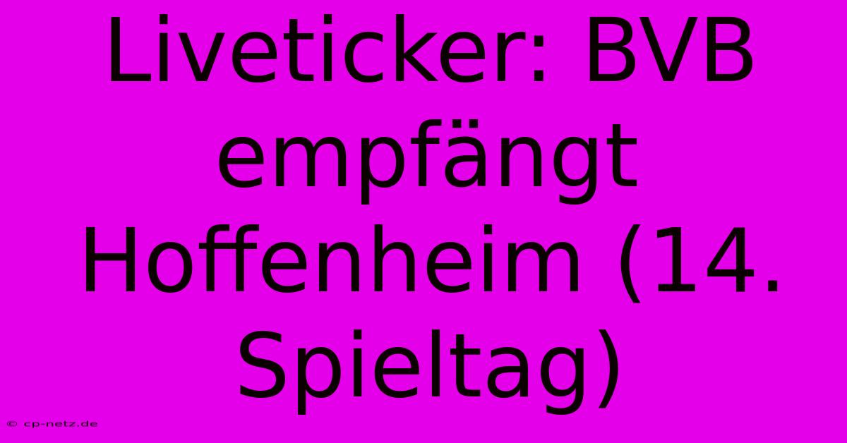 Liveticker: BVB Empfängt Hoffenheim (14. Spieltag)