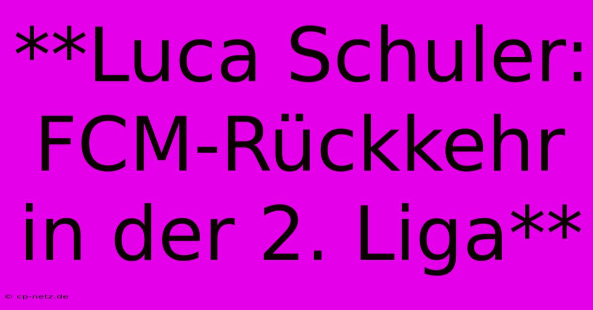 **Luca Schuler: FCM-Rückkehr In Der 2. Liga**