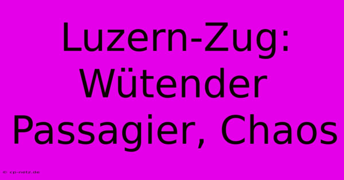 Luzern-Zug: Wütender Passagier, Chaos