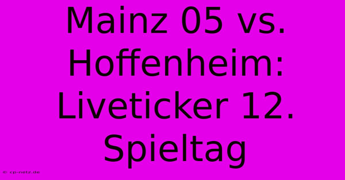 Mainz 05 Vs. Hoffenheim: Liveticker 12. Spieltag