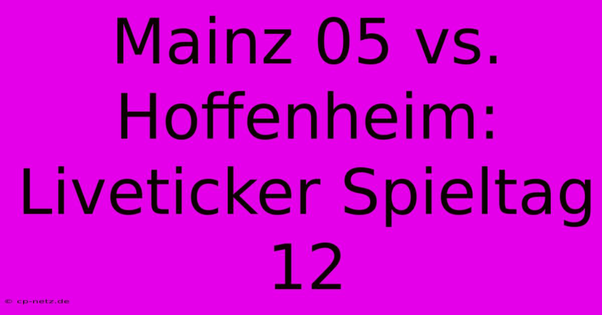 Mainz 05 Vs. Hoffenheim: Liveticker Spieltag 12