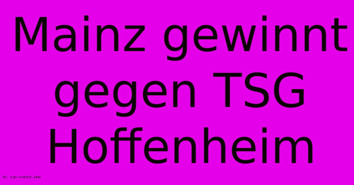 Mainz Gewinnt Gegen TSG Hoffenheim