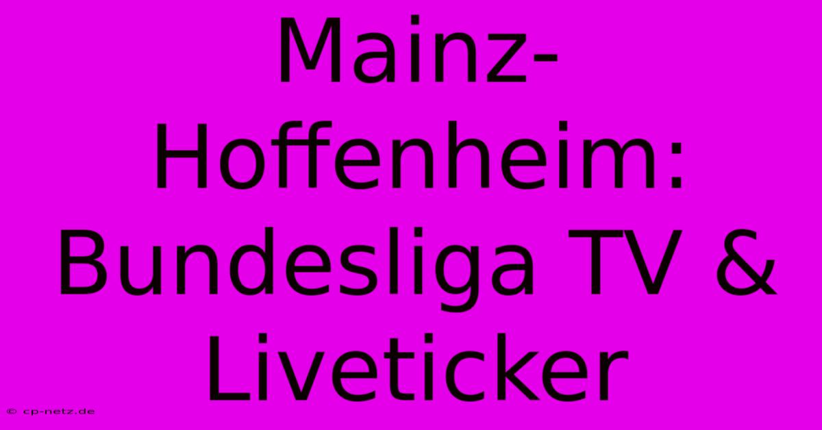 Mainz-Hoffenheim: Bundesliga TV & Liveticker