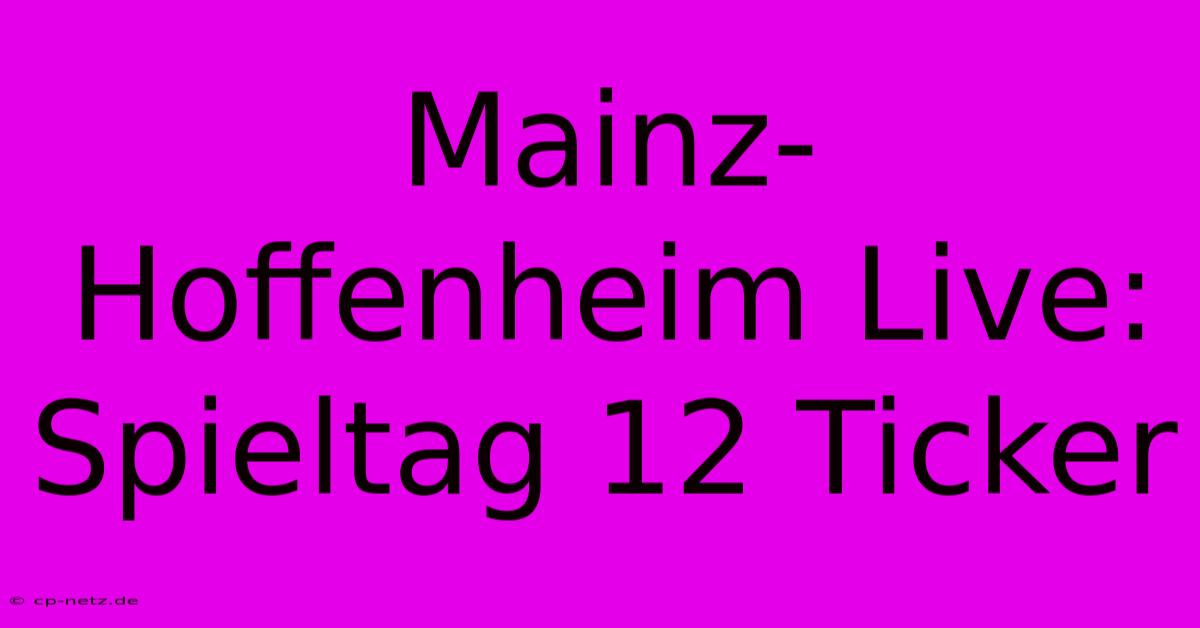 Mainz-Hoffenheim Live: Spieltag 12 Ticker