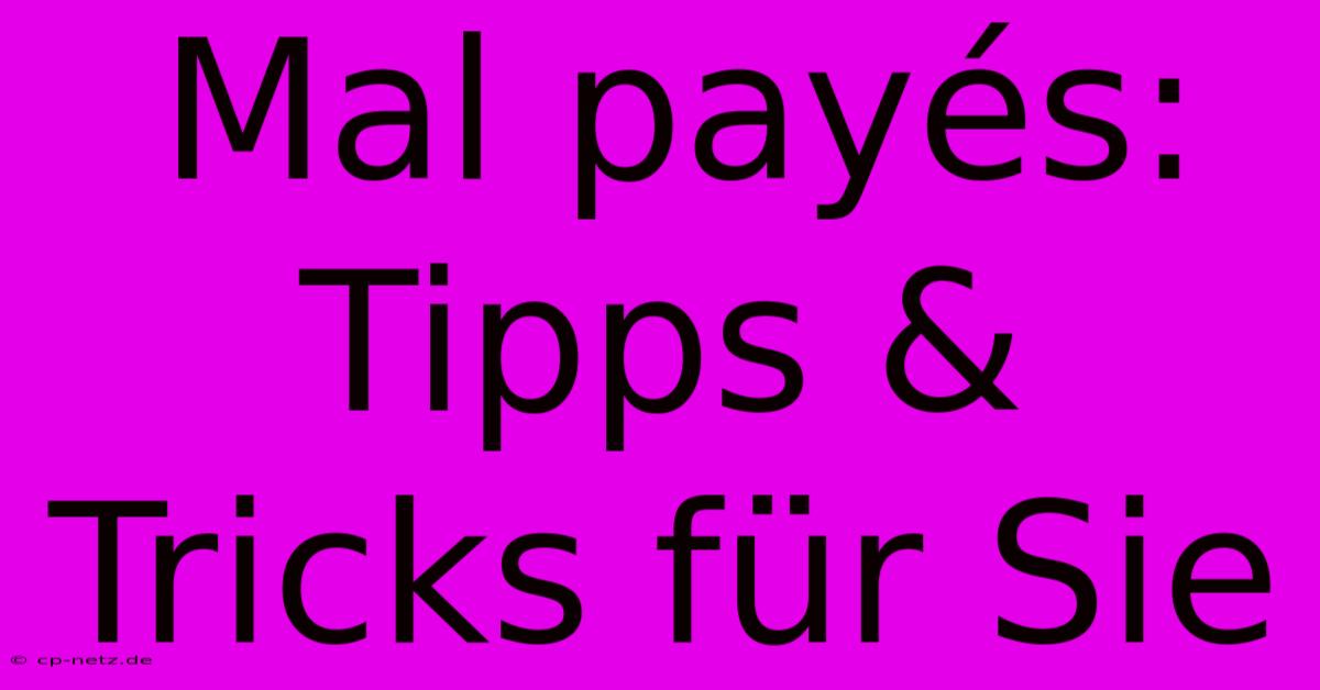 Mal Payés: Tipps & Tricks Für Sie