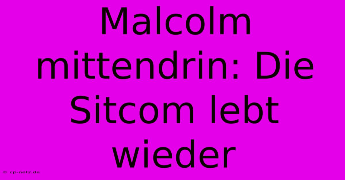 Malcolm Mittendrin: Die Sitcom Lebt Wieder