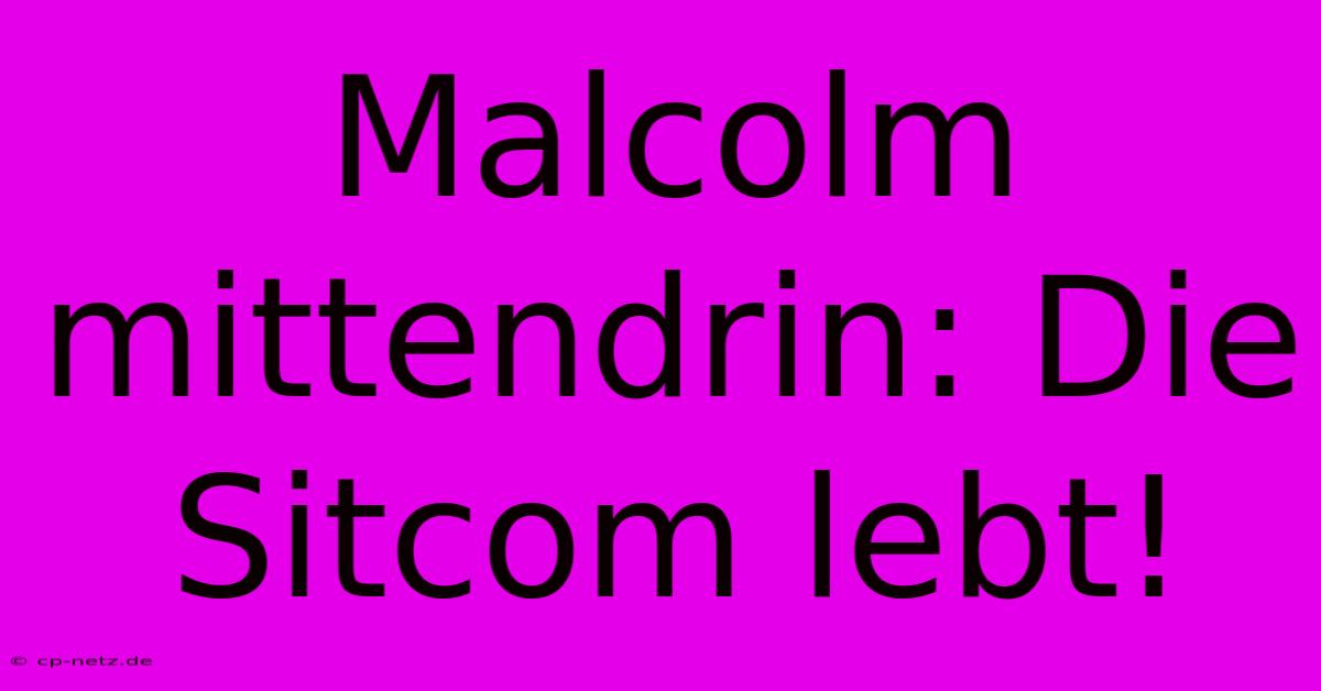 Malcolm Mittendrin: Die Sitcom Lebt!