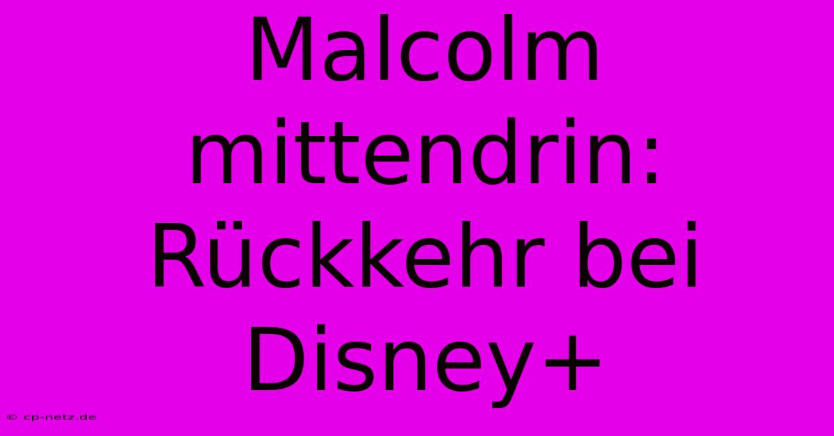 Malcolm Mittendrin: Rückkehr Bei Disney+