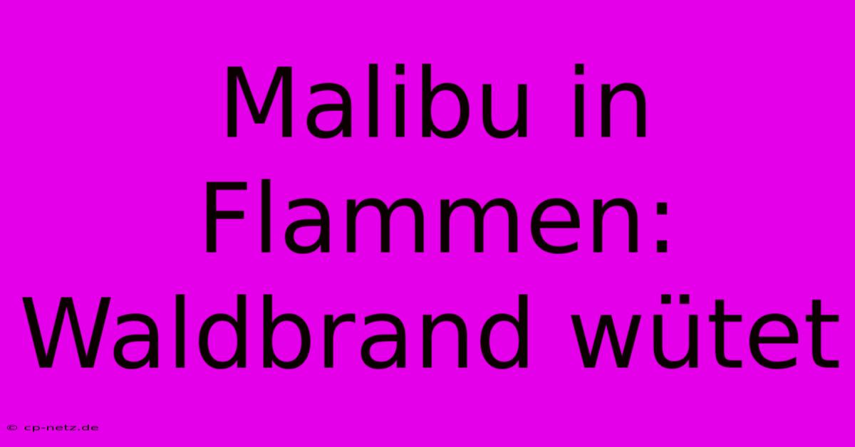 Malibu In Flammen: Waldbrand Wütet