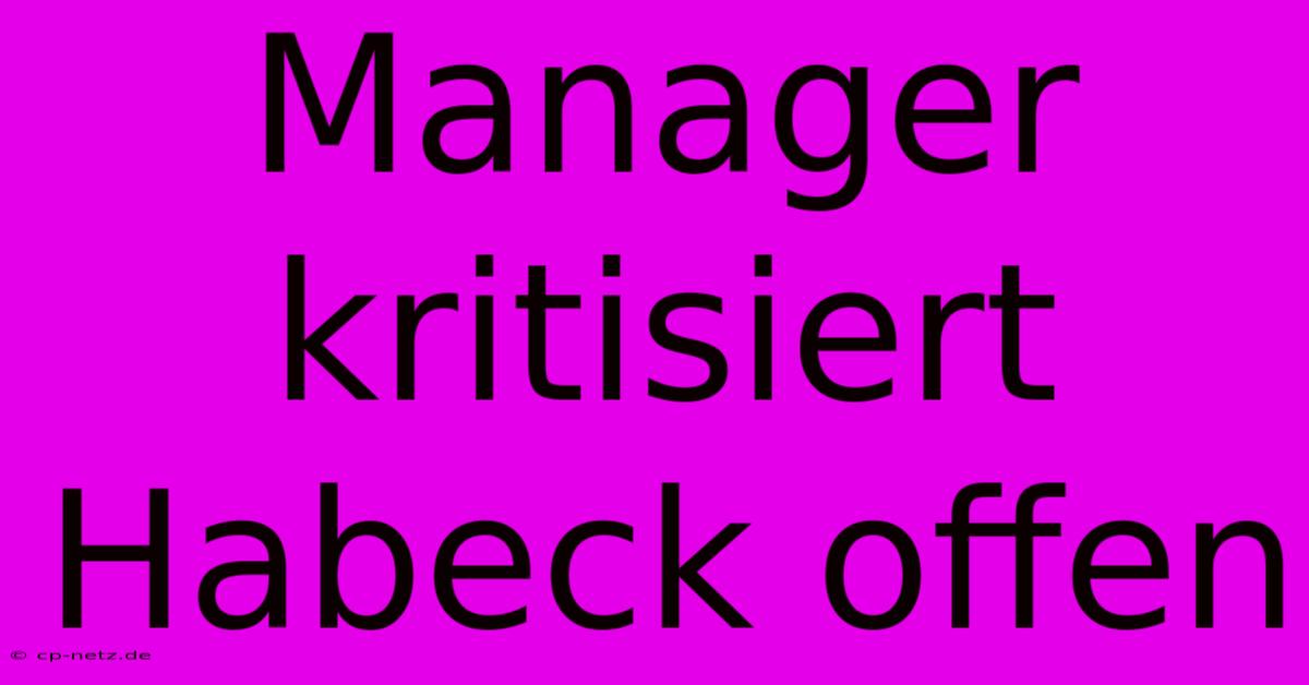 Manager Kritisiert Habeck Offen