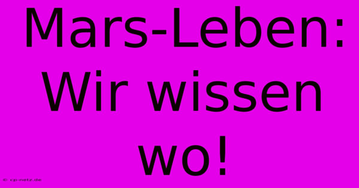 Mars-Leben: Wir Wissen Wo!