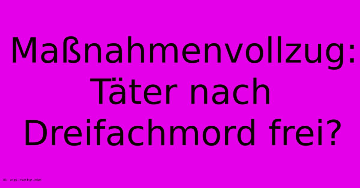 Maßnahmenvollzug:  Täter Nach Dreifachmord Frei?