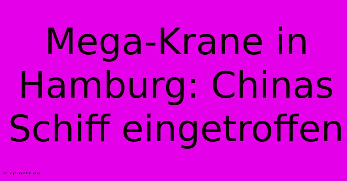 Mega-Krane In Hamburg: Chinas Schiff Eingetroffen