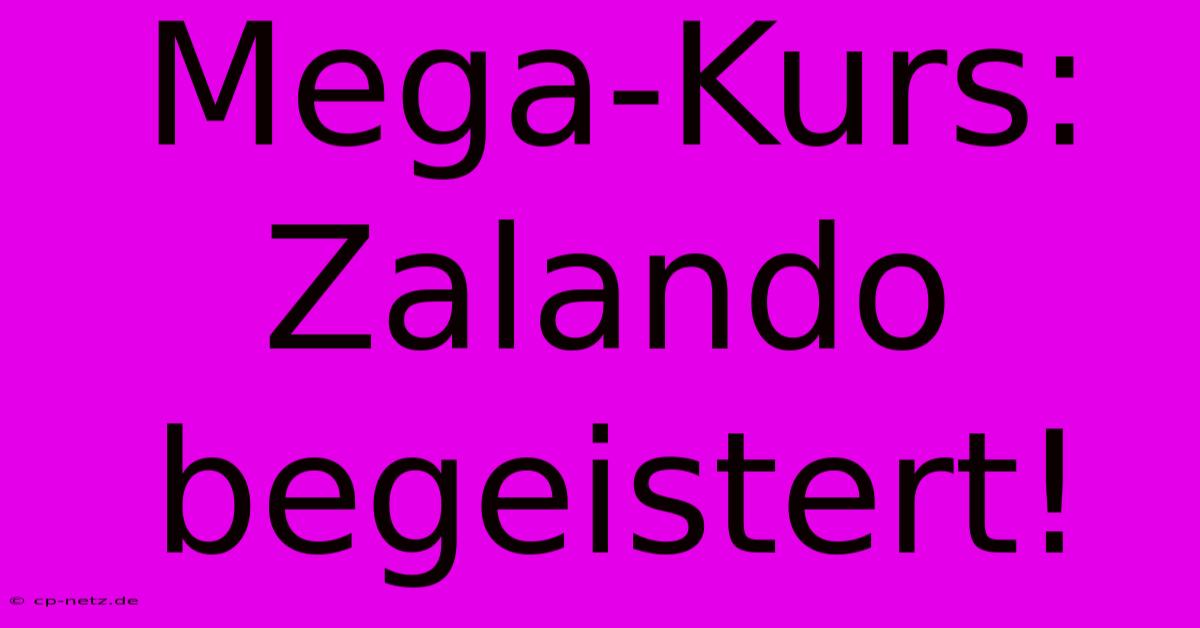 Mega-Kurs: Zalando Begeistert!