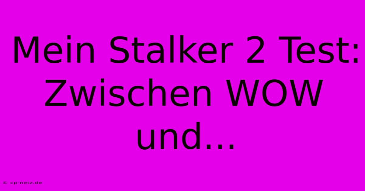 Mein Stalker 2 Test:  Zwischen WOW Und...