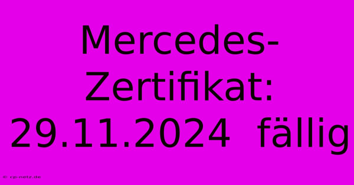 Mercedes-Zertifikat:  29.11.2024  Fällig