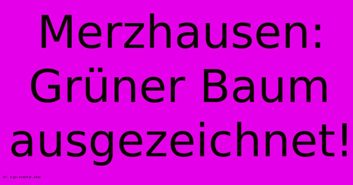 Merzhausen: Grüner Baum Ausgezeichnet!